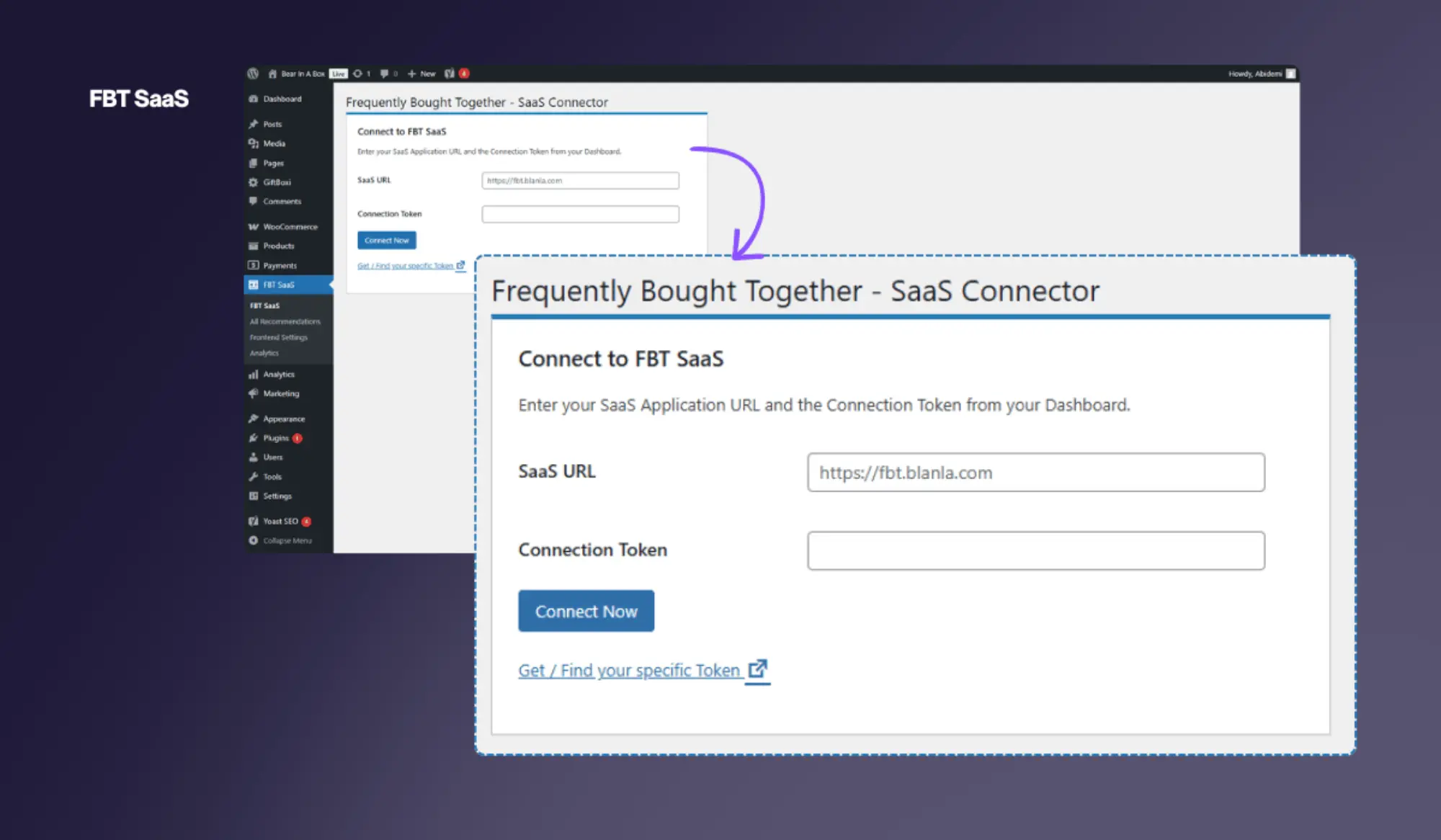 Plugin settings page showing FBT SaaS URL and connection token fields with Connect Now button